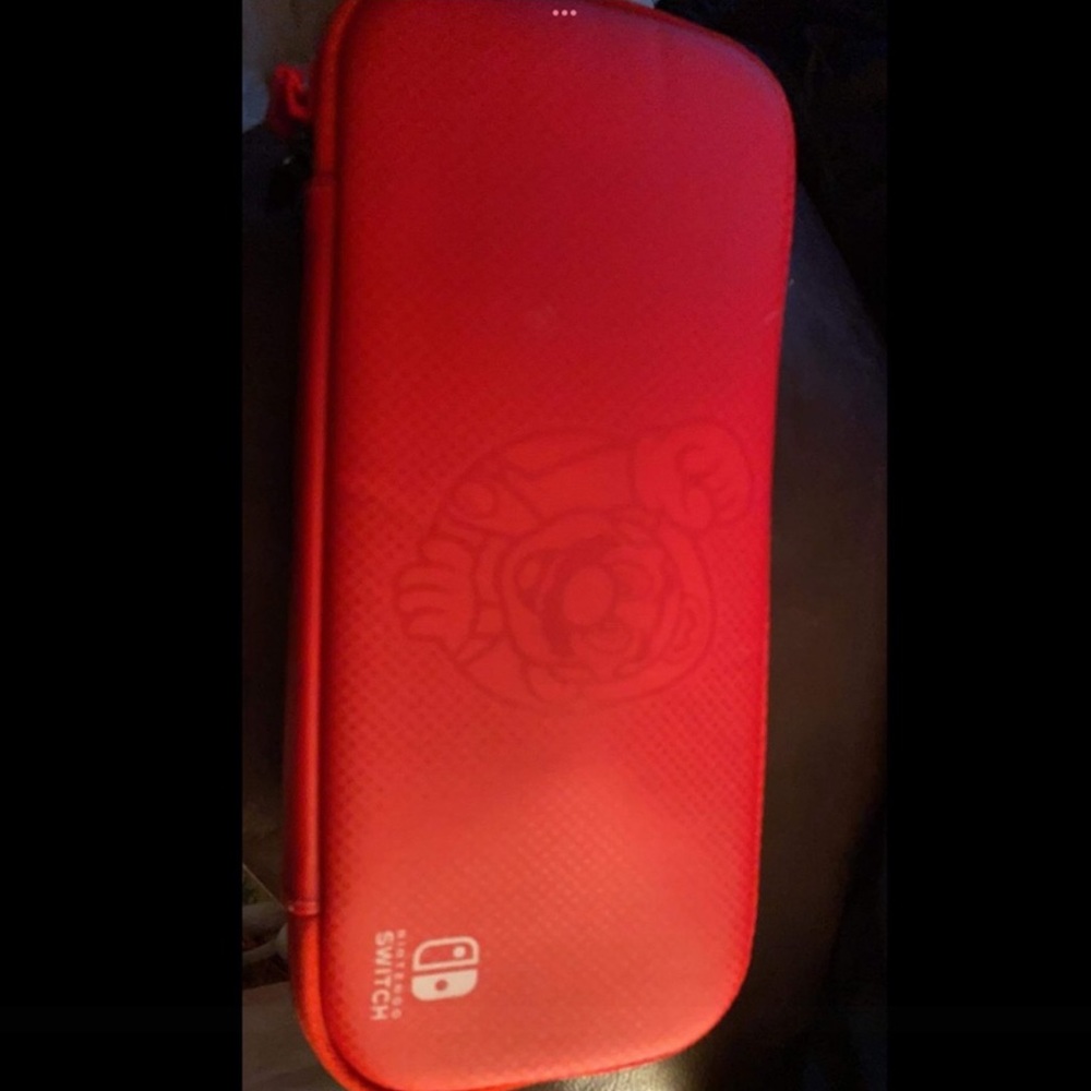mario nintendo switch case